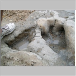 100_0782 (2009-27-07).JPG